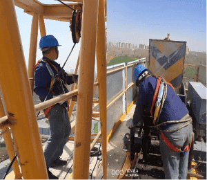 1736306663261592.png 图片 8(1).png