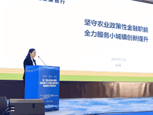 1743382738147867.png 图片 9(1).png